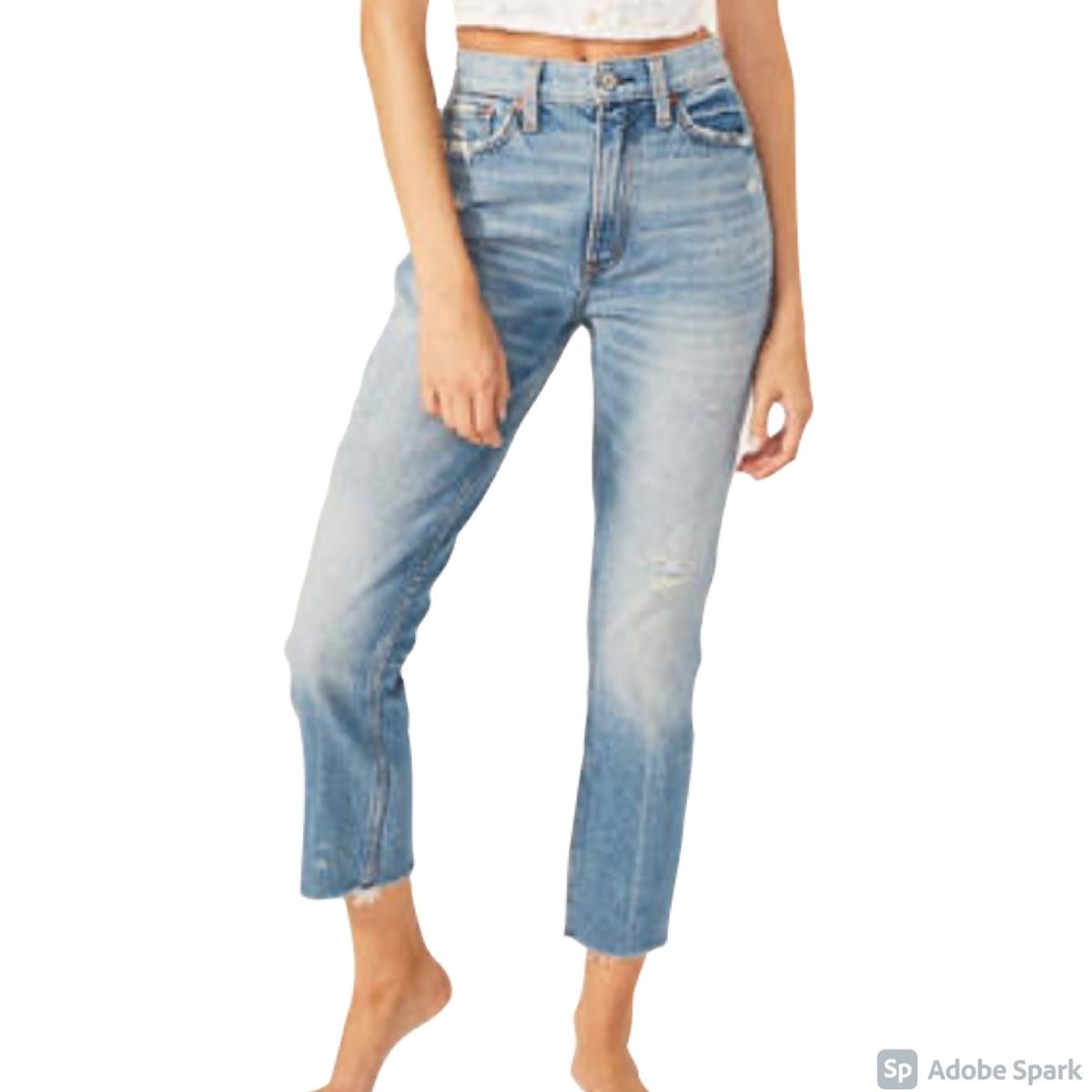 Abercrombie and Fitch 